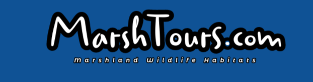 MarshTours.Com