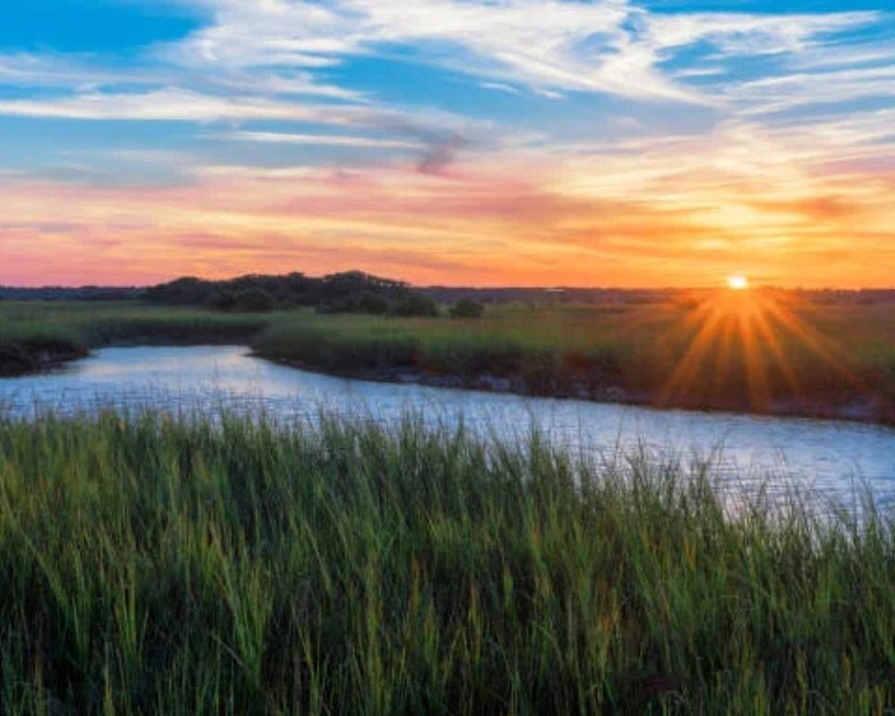 A serene Florida marsh with still waters reflecting the sky, surrounded by tall grasses, lush greenery, and wildlife habitat, showcasing the natural beauty of the wetlands.