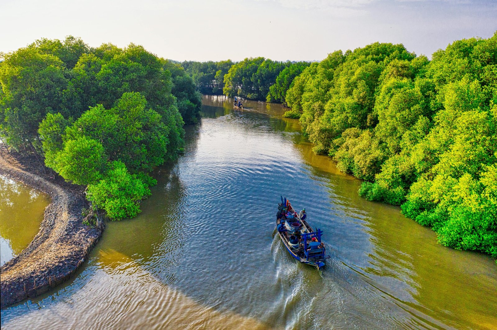 There are beautiful mangroves in the Florida Everglades.